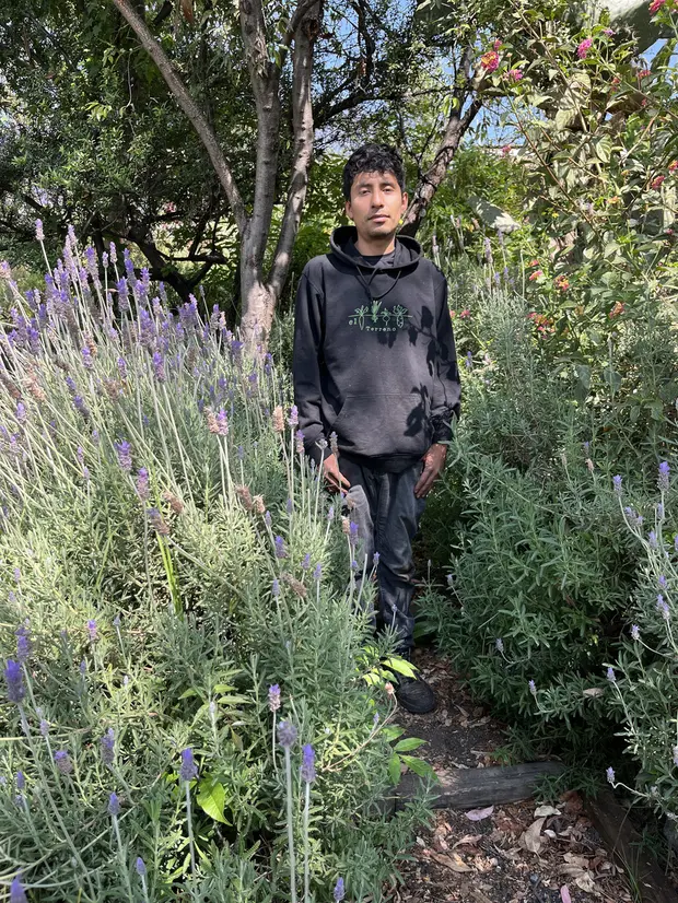 Daniel Beltrán entre la lavanda del huerto