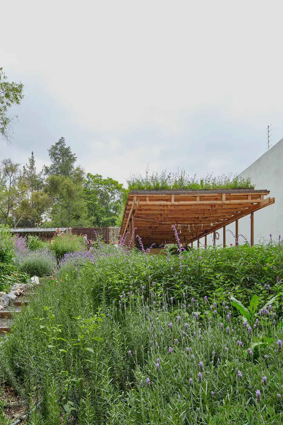 El deck de acero visto desde el jardín
