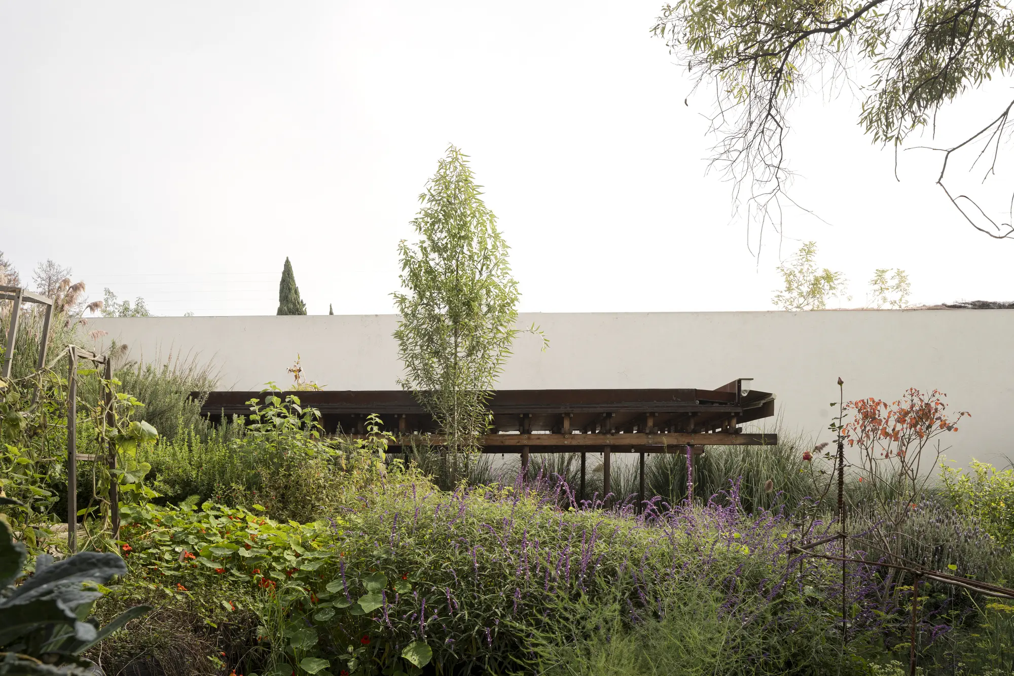 El deck de acero sobre el huerto de El Terreno, con salvia morada y muro encalado al fondo