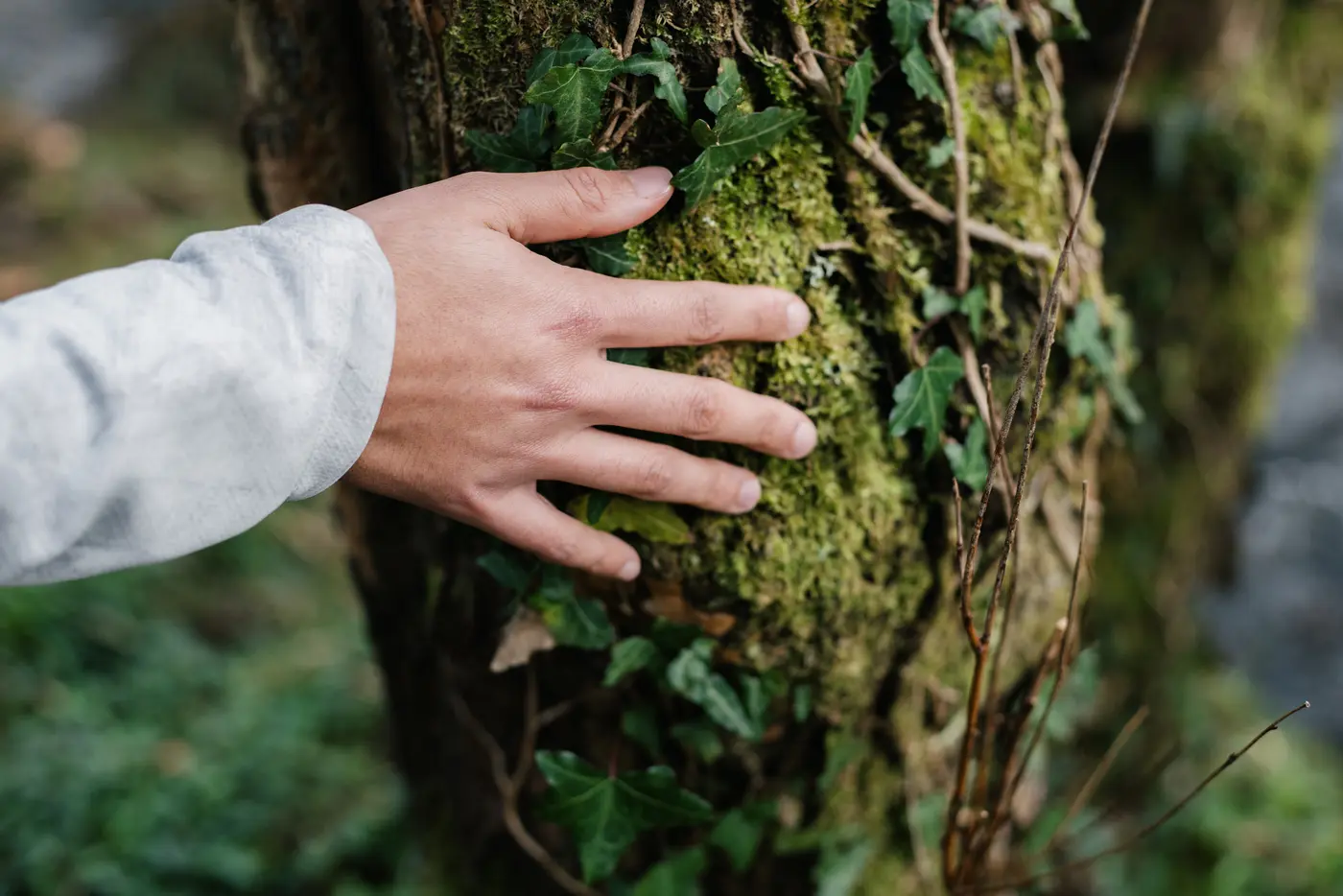 Una mano sobre el tronco cubierto de musgo en El Terreno